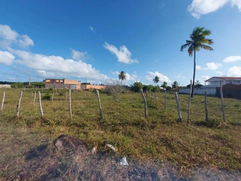 Lote na Caueira - 50033 *