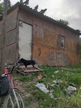 Vendo barraco no bugre 