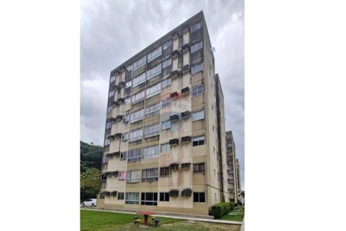 ALUGO APARTAMENTO - MORADIA DE QUALIDADE