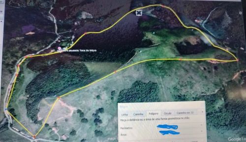 Ótima área com 29 ha