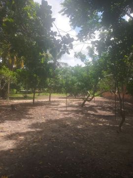 Belissima granja em macaiba