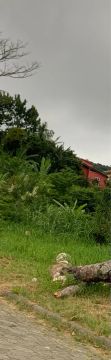 Casa na Armação Mensal 
