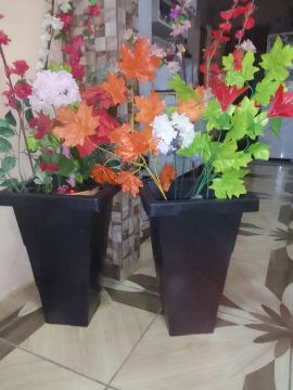 2 vasos com plantas