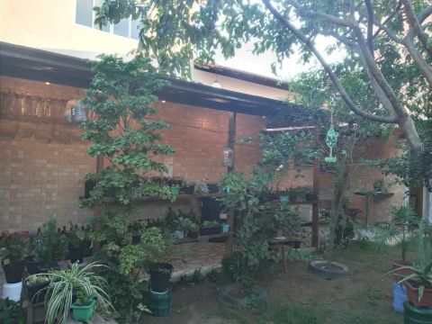 Casa, 4 quartos, com área verde  com mais de 500 metros quadrados
