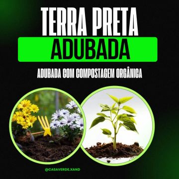 Terra Preta Adubada com Compostagem Orgânica