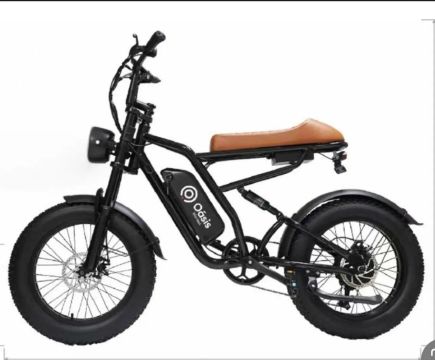 Bicicleta Elétrica 750W PRONTO ENTREGA