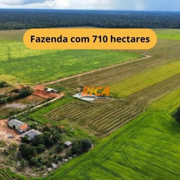 Vende-se Excelente Fazenda com 710 Hectares em Humaitá-AM!