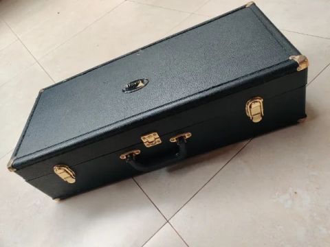 Saxofone alto Eagle estado de novo. Impecável. Com case de luxo. Revisado.