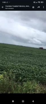 Fazenda arrendamento 1600hec. plantando já 700hec em Canarana MT.pode gradear até 1600 hec