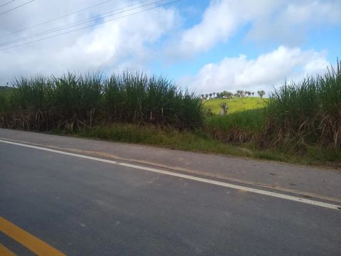 Fazenda 45 hect-Canastra 