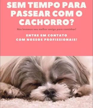 Passeio para cães 