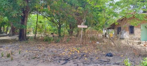 Terreno 14x73m à Venda - Bairro Rio dos Cachorros, São Luís - MA 