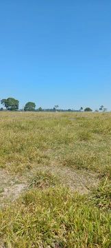 Fazenda em Costa Marques 