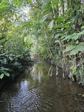 Terreno em Massaranduba Pronto para construir