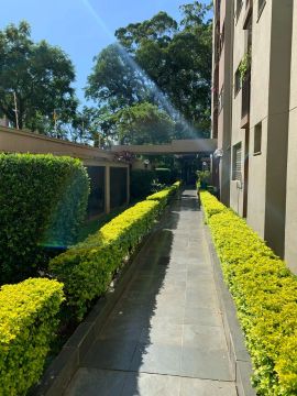 Imóvel para aluguel e venda tem 65 m² com 2 quartos em Parque Munhoz - São Paulo - SP