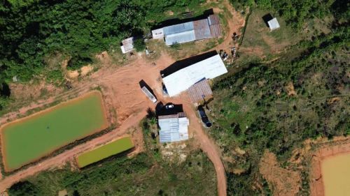 FAZENDA OPORTUNIDADE DE VIDA - PRODUÇÃO E CREDITO DE CARBONO