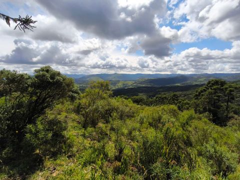 Sítio 24 hectares- Terreno de altitude em Pericó