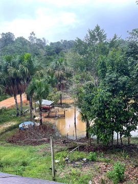 Sítio com pomar e área verde
