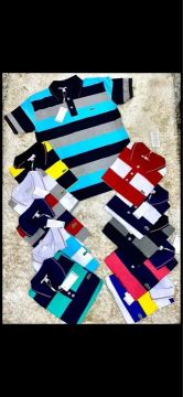 Camisas Gola Polo