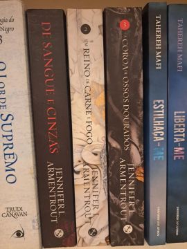 Livros trilogia Sangue e Cinzas