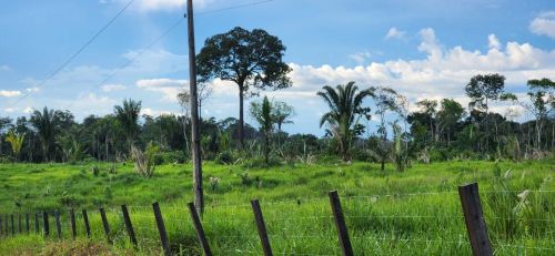 Vendo um Sítio no projeto São Francisco, com 600.000m2