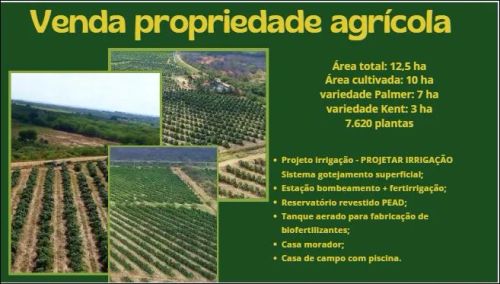 Imóvel para venda com 100000 metros quadrados em Nova Descoberta - Petrolina - PE