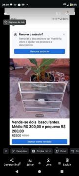 Basculante pequeno 