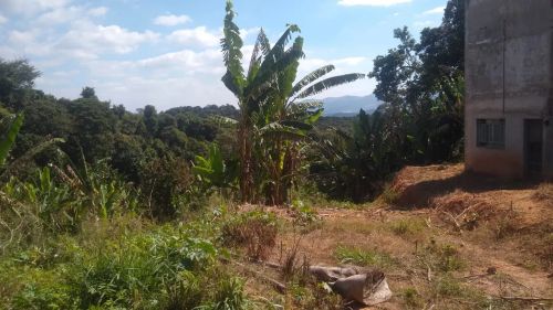 Venda Commercial / Land Lot Congonhas MG