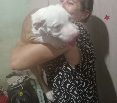 Filhote de pitbull monster