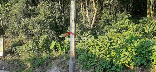 Lote em Rua Abel Parmegiani - Floresta - Gramado/RS