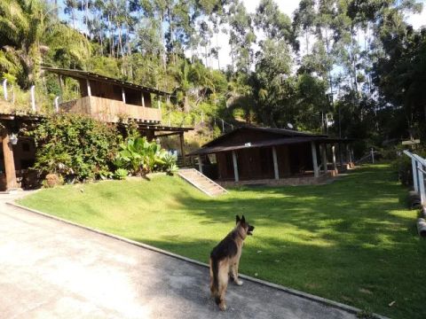*Oportunidade* Sítio em Camboriú-SC, 26.700M2. 