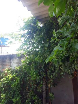 lote escriturado no residencial parque dos buritis