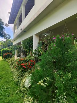 granja com 12.6 hectares  próximo a lagoa de  Bonfim   com uma localização perfeita  privi