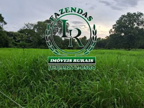 Fazenda 29 Alqueires Região Aparecida Rio Negro
