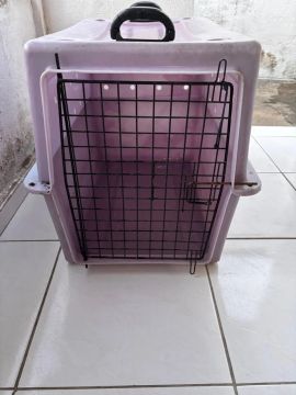 Caixa para transporte de pet número 4
