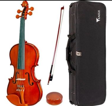 Violino 4/4 com Case, Arco e Acessorios - Semi-Novo