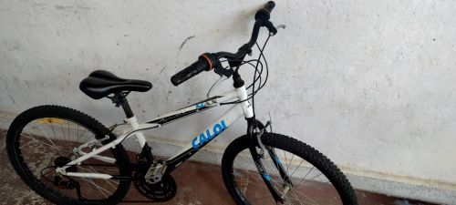 Bicicleta Caloi Max juvenil aro 24 