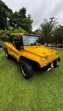 Buggy fyber