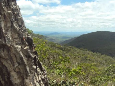 Propriedade rural