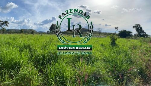Fazenda/Chácara de 13.5 Alqueires Próximo a Palmas 