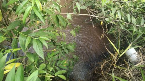 10ha-3 Divisóes de Pasto e Rica em Agua...