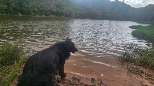 Terreno pé na agua represa apenas 77 mil reais 