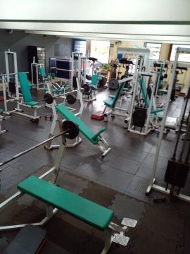 Artigos fitness