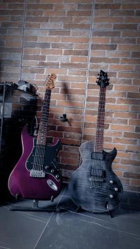 Guitarra elétrica strato Leandro walzack ano 2005 - excelente estado!