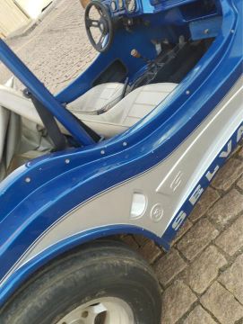 Buggy Selvagem 2012
