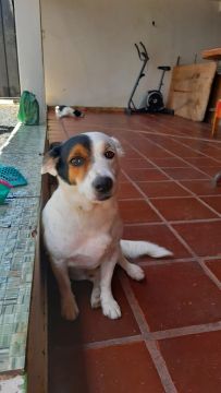 Doação 