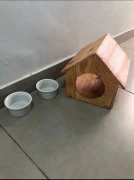 Casa para roedores
