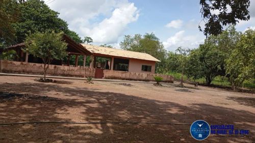 Fazenda de 160 Alqueires na região de Cristalândia-TO! Dupla Aptidão