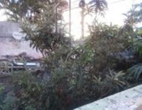 TERRENO. PARA VENDA.