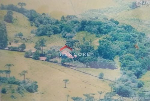 Lote em RS 110 - Varzea do Cedro - São Francisco de Paula/RS